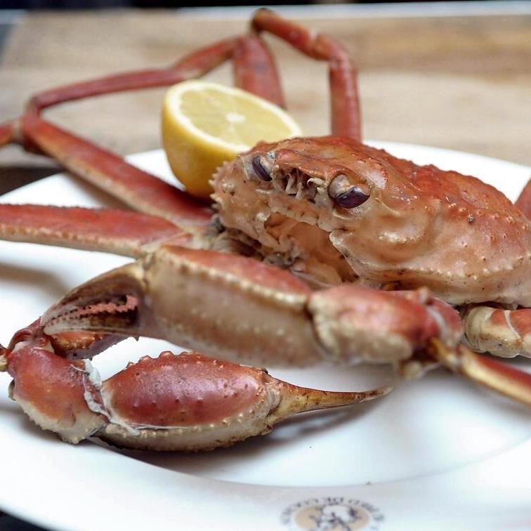 As crab fishery protest enters fourth week, N.L. minister asks union for secret vote